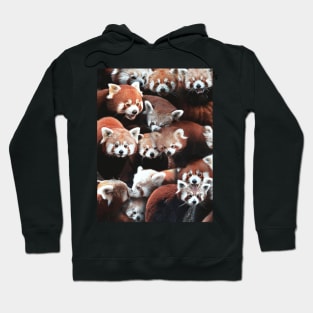 Red Pandas Hoodie